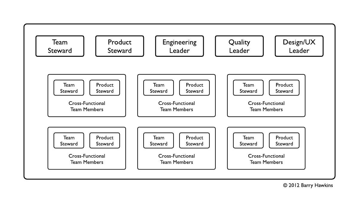 Team of Teams Roles - Common